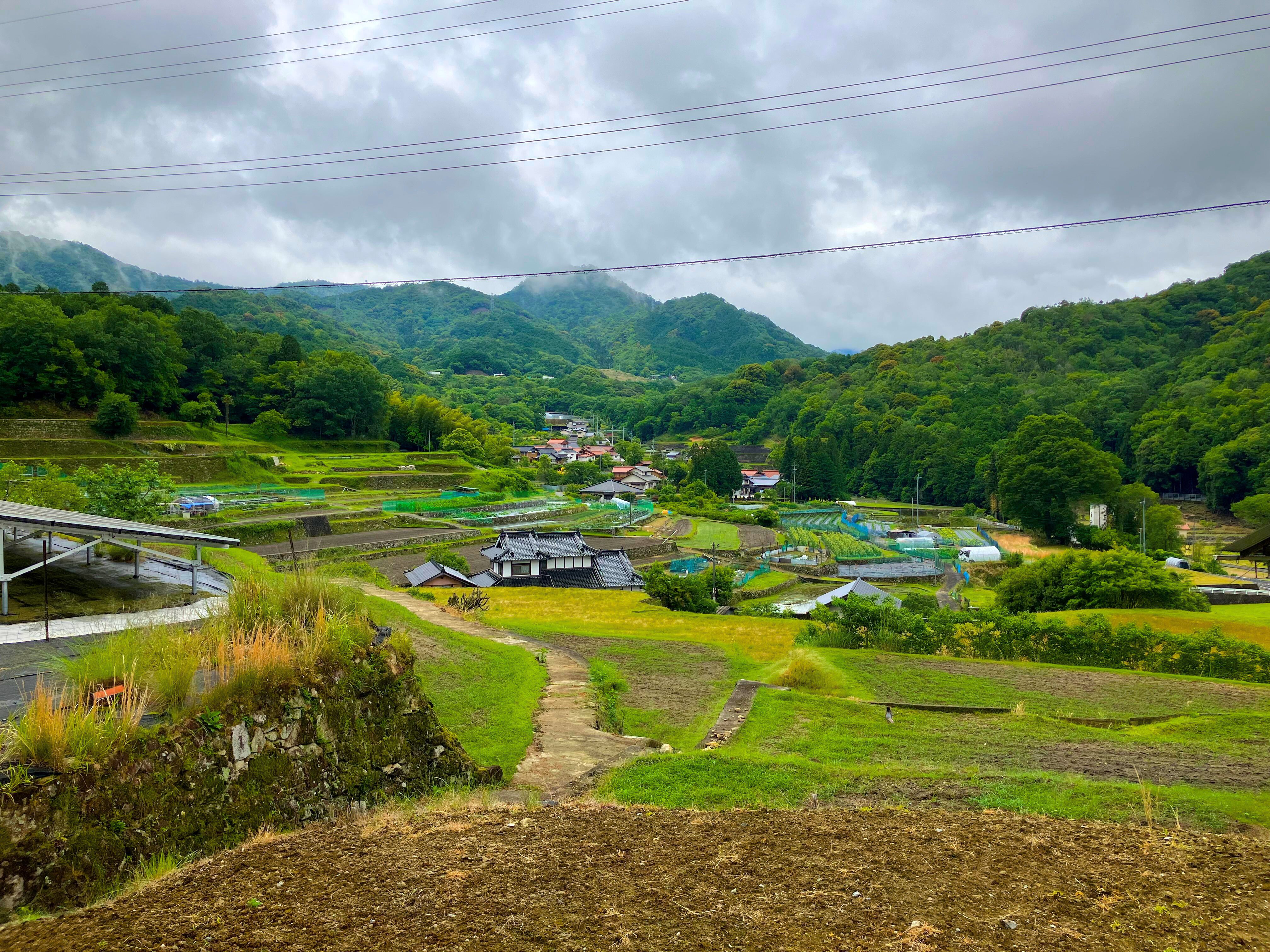 湯坂田園